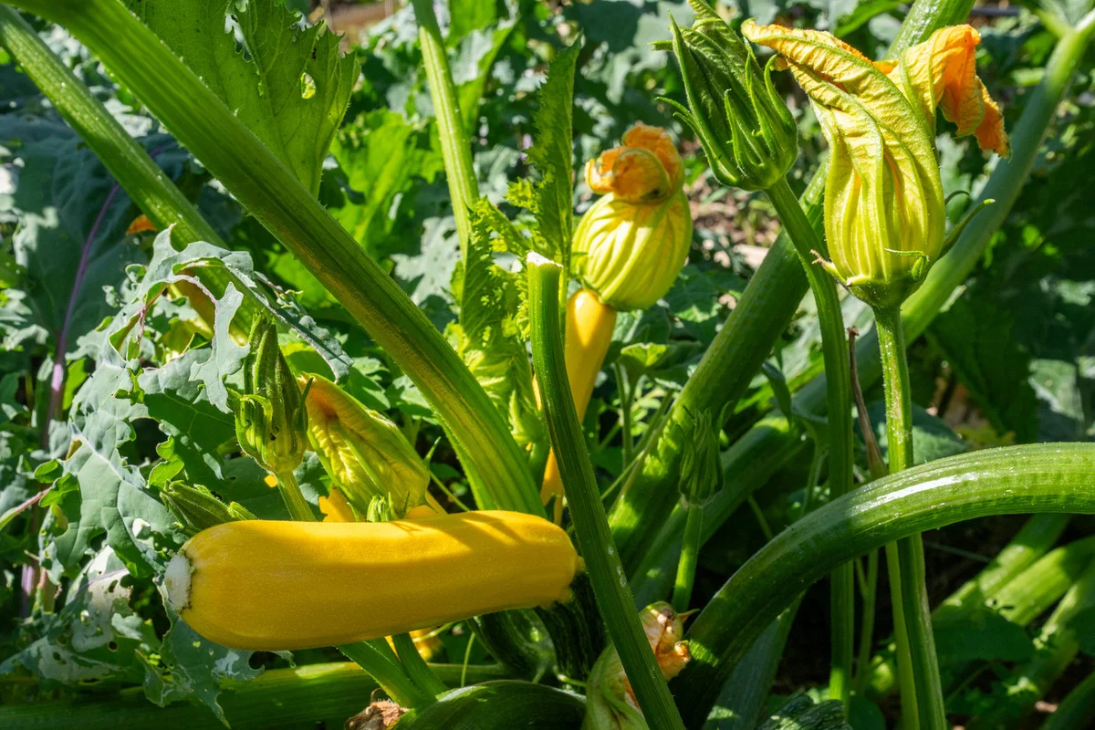 Additional image 24 of 2480 Channel Highway, Lower Snug TAS 7054