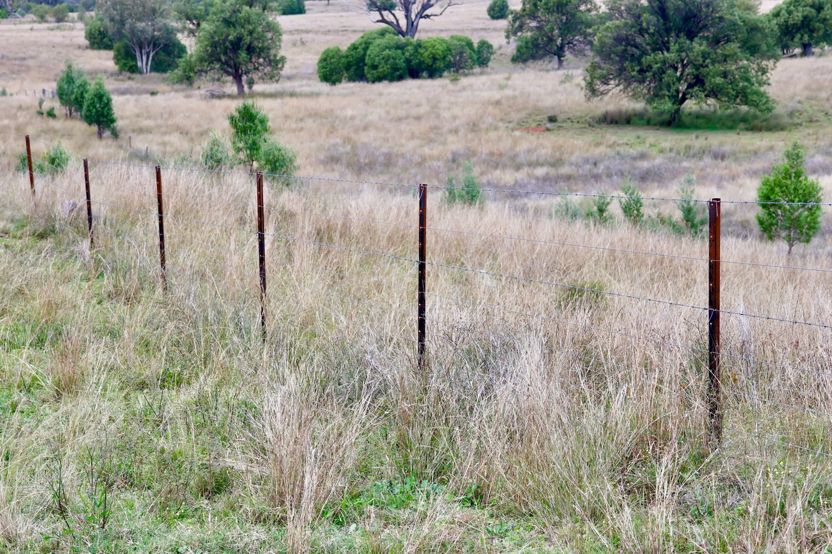 Additional image 14 of Elcombe Road, Bingara NSW 2404