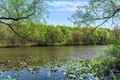 Additional image 31 of 60 Fox Run Dr, Plainsboro, NJ, 08536