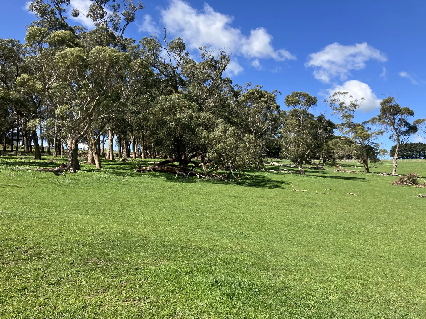 Additional image 4 of 25 Whittens Road, Timboon VIC 3268