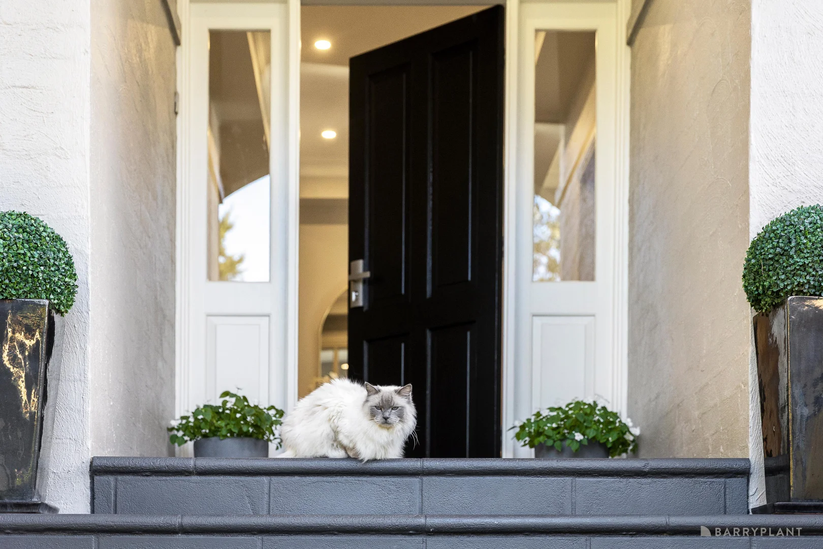 Additional image 17 of 25 Beckett Road, Donvale VIC 3111