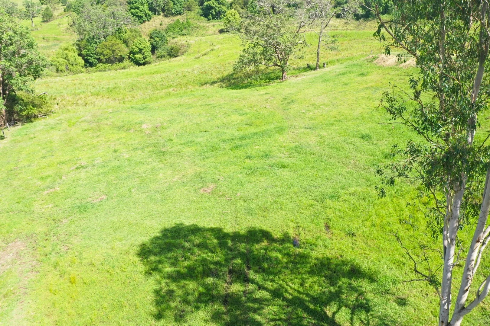 Additional image 26 of 1254 Afterlee Road, Kyogle NSW 2474