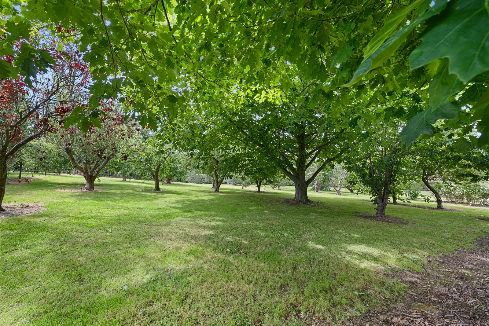 Additional image 24 of 10 Porter Lane, Mirboo North VIC 3871