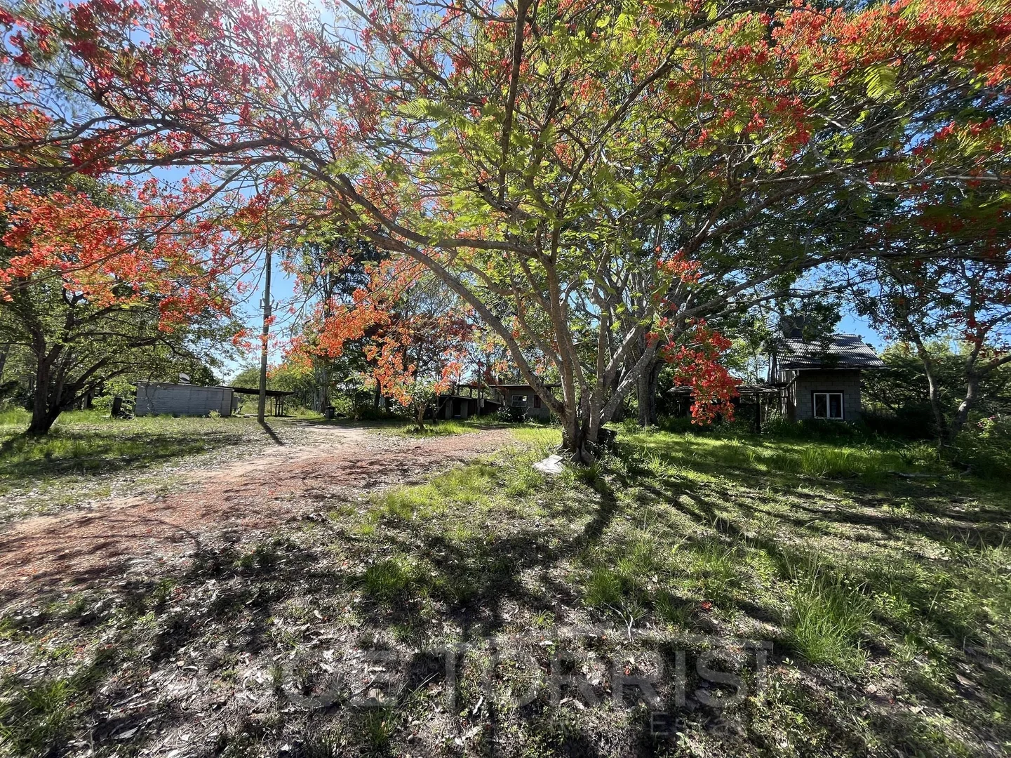 Additional image 3 of 841 Bilwon Road, Biboohra QLD 4880