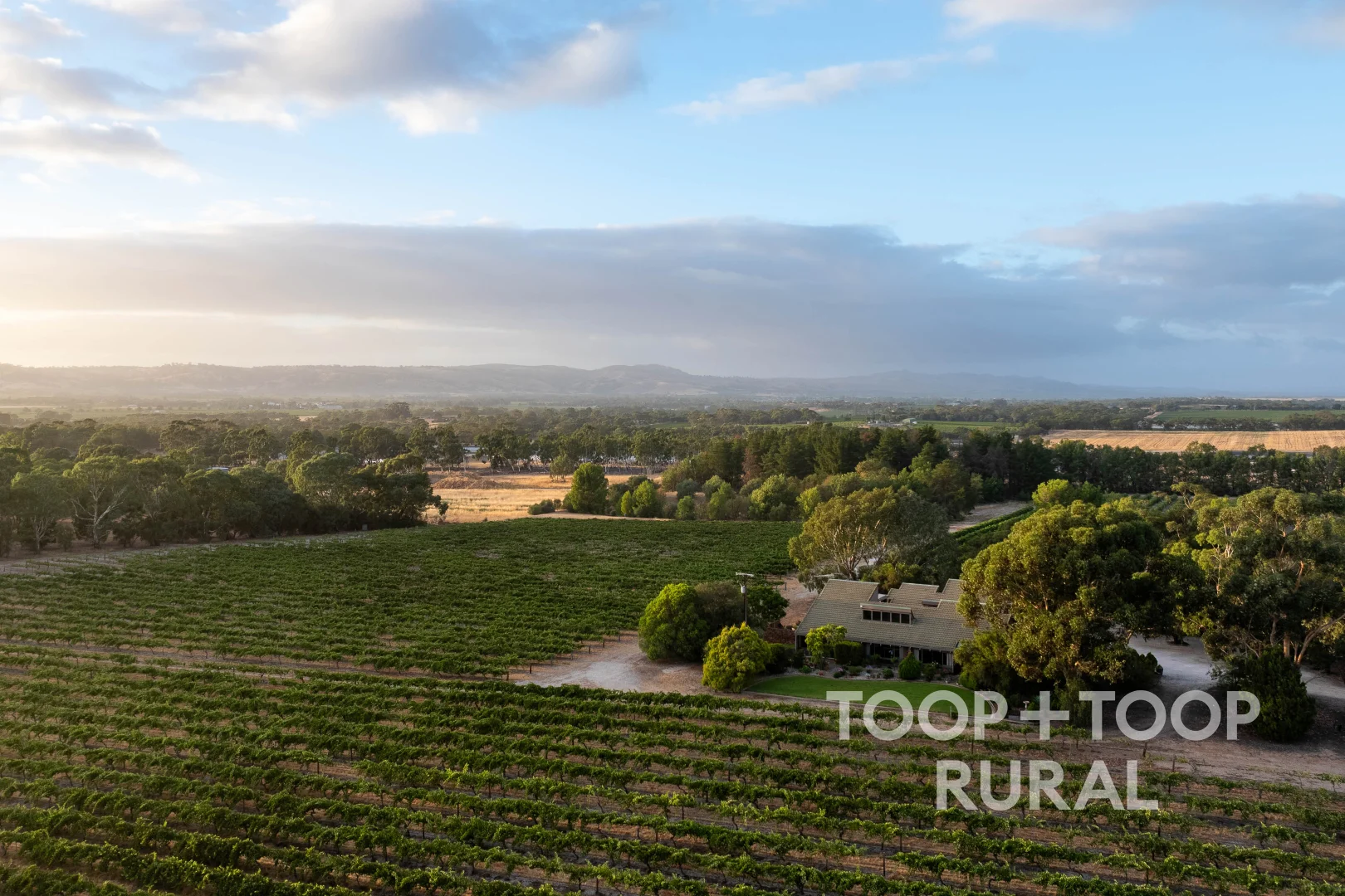Additional image 4 of 145 Tolley Road, Nuriootpa SA 5355