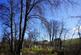 Additional image 4 of Rookham Plantation, Near Wells, Somerset BA5