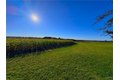 Additional image 23 of Graffenburg Rd, Frankfort, NY, 13340