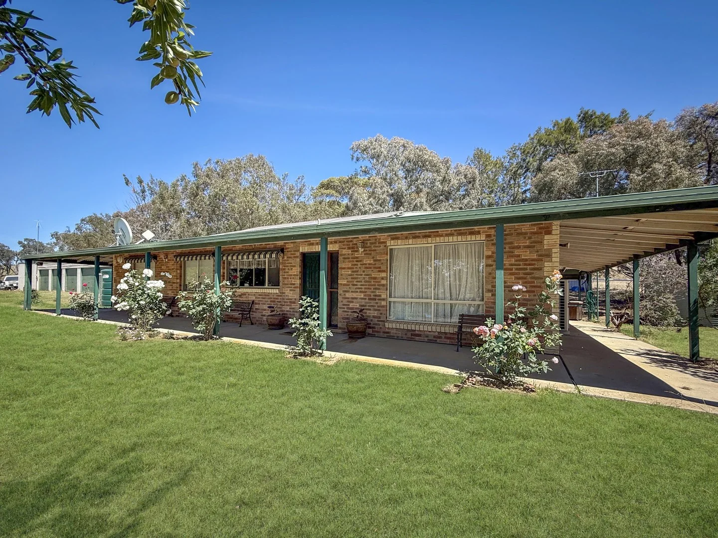 3370 Murringo Road, Young NSW 2594