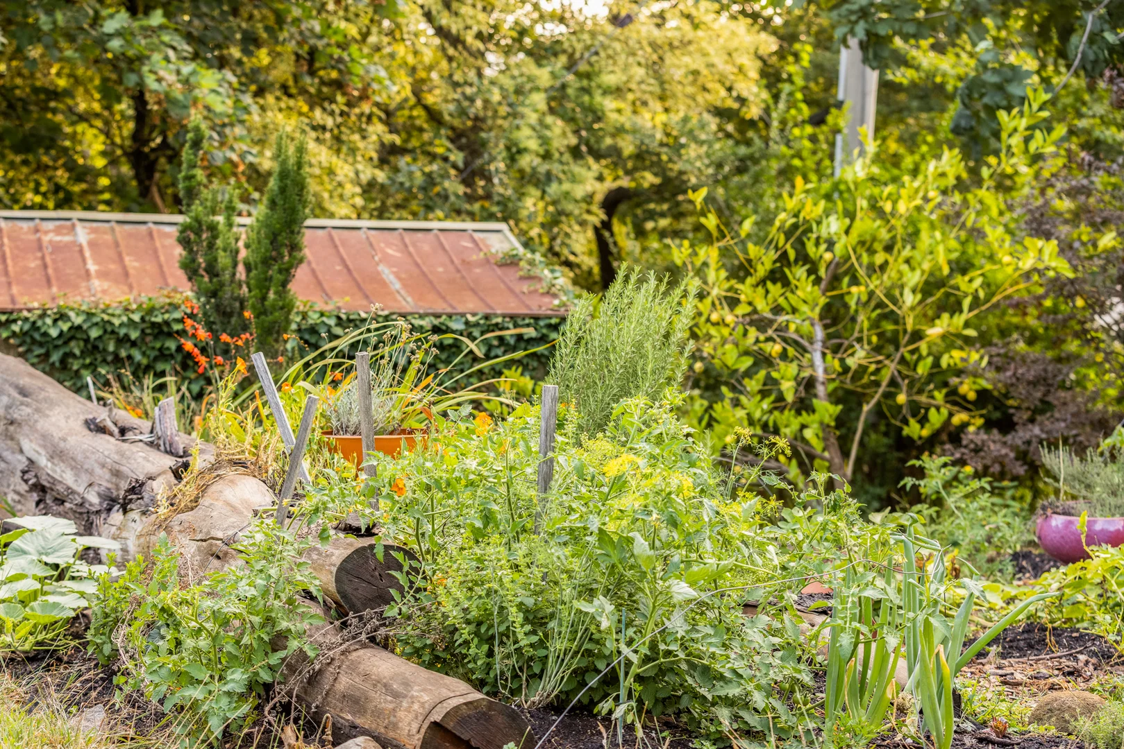 Additional image 10 of 37 Falls Road, Kalorama VIC 3766