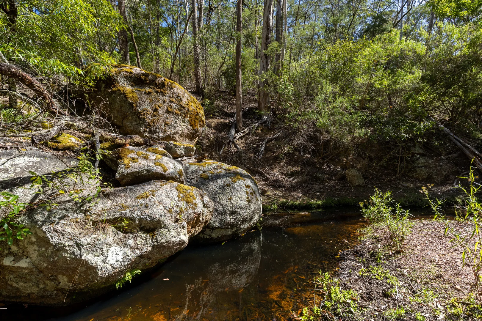 Additional image 13 of 464 Dorrigo Road, Brogo NSW 2550