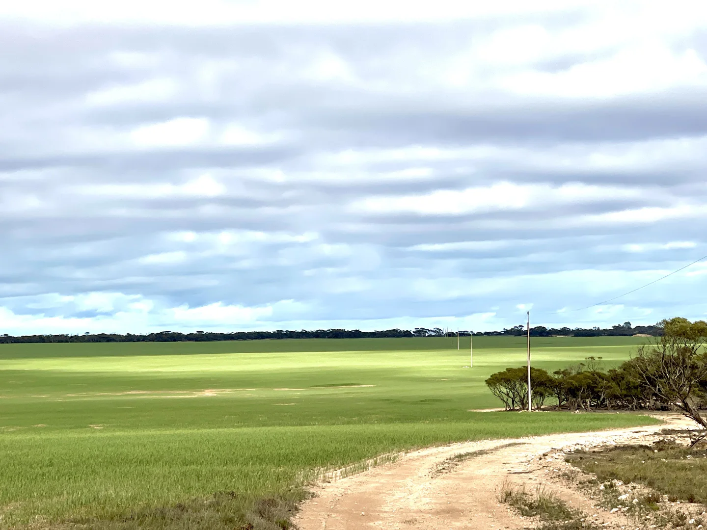 Additional image 16 of Section 22 Marchant Road, Mudamuckla SA 5680