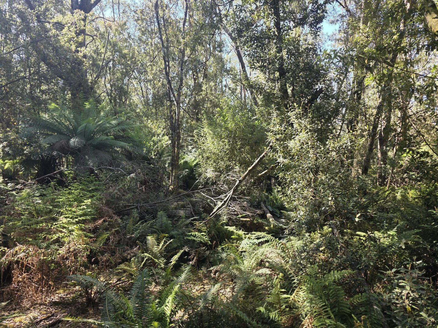 lot 1 1824490 Edward Street West Coast [Balfour], Temma TAS 7330