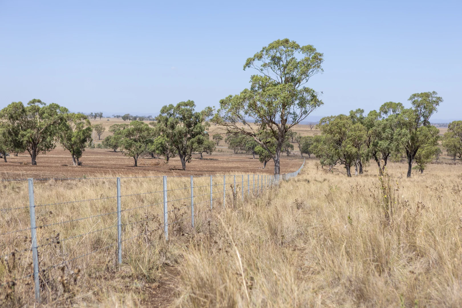 Additional image 9 of 'Windermere' 5518 Golden Highway, Merriwa NSW 2329