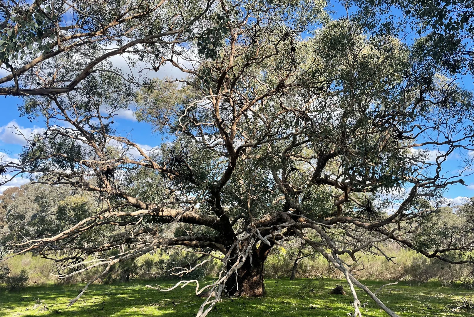 Additional image 10 of Lot 12 Heathcote-Nagambie Road, Moormbool West VIC 3523