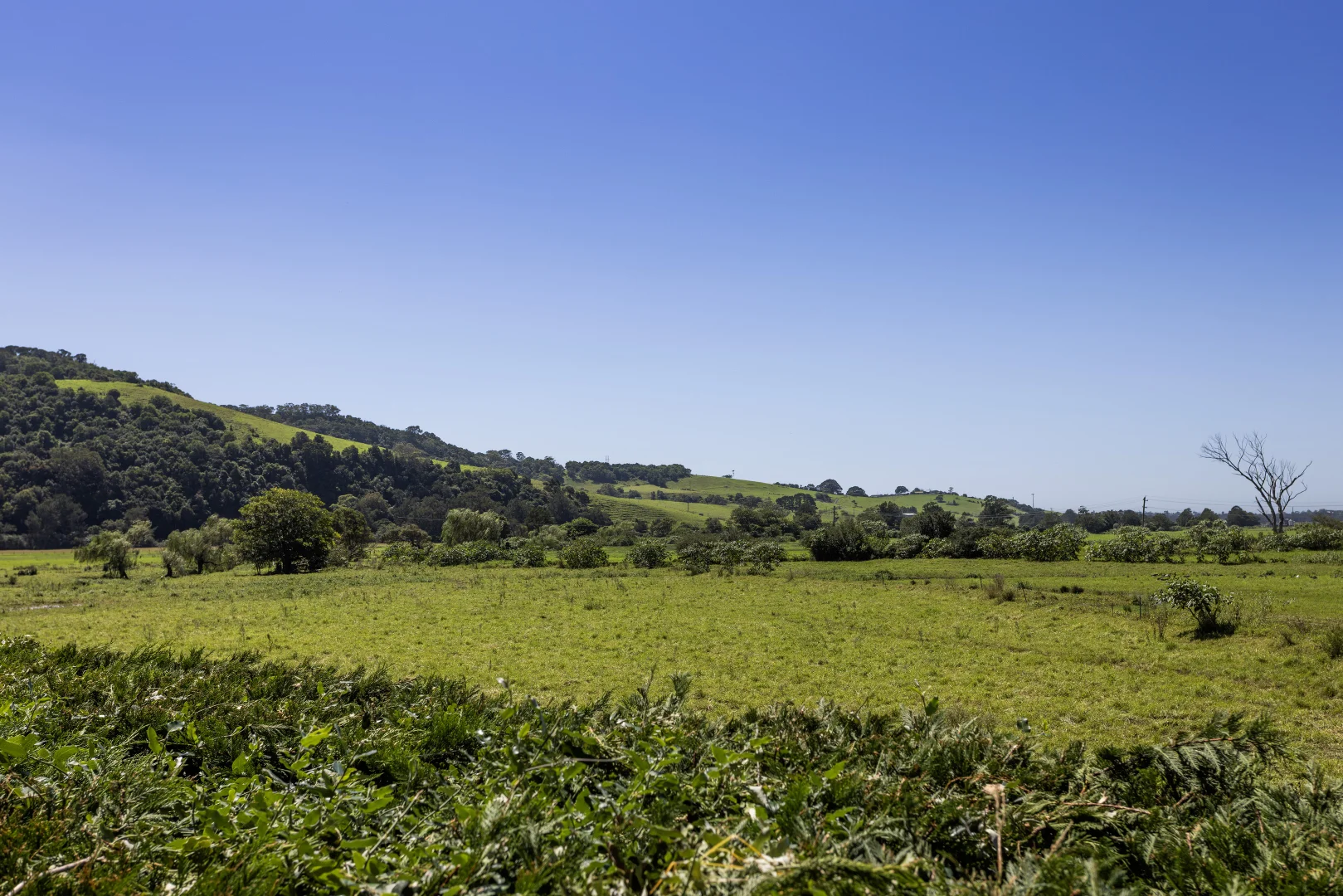 Additional image 22 of 32 Factory Lane, Jamberoo NSW 2533