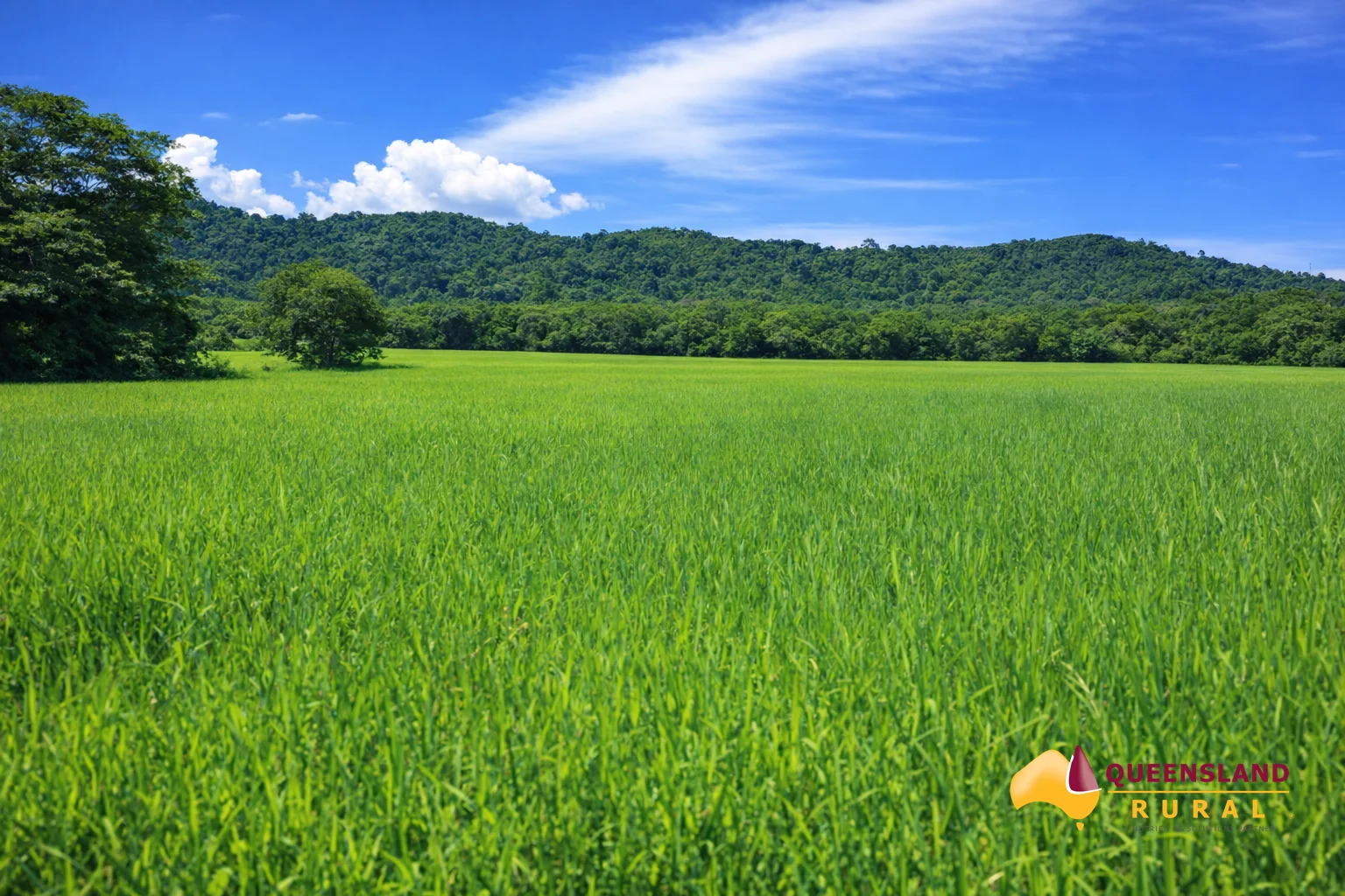 Additional image 4 of Bombeeta QLD 4871