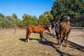 Additional image 22 of 5111 Todd Rd, Sebastopol, CA, 95472