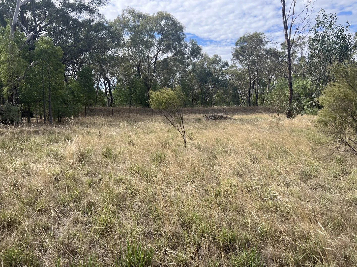 Additional image 5 of 24 Wood Street, Stockinbingal NSW 2725