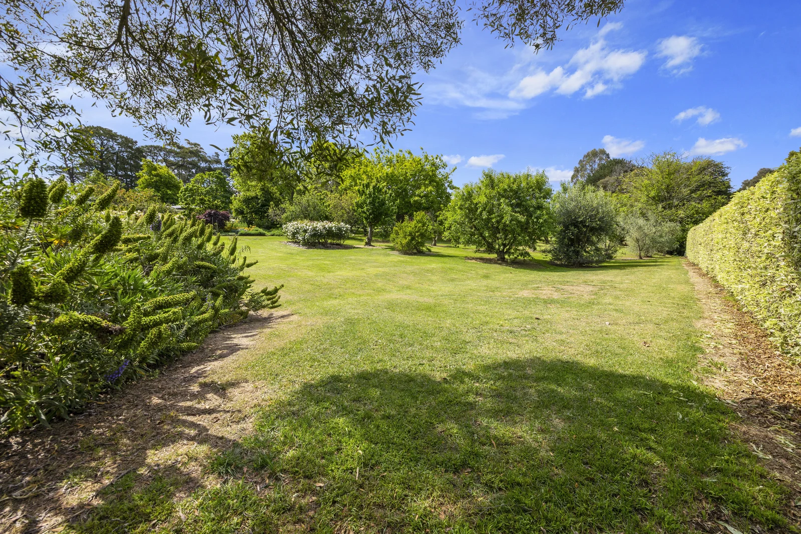 Additional image 23 of 10 Porter Lane, Mirboo North VIC 3871