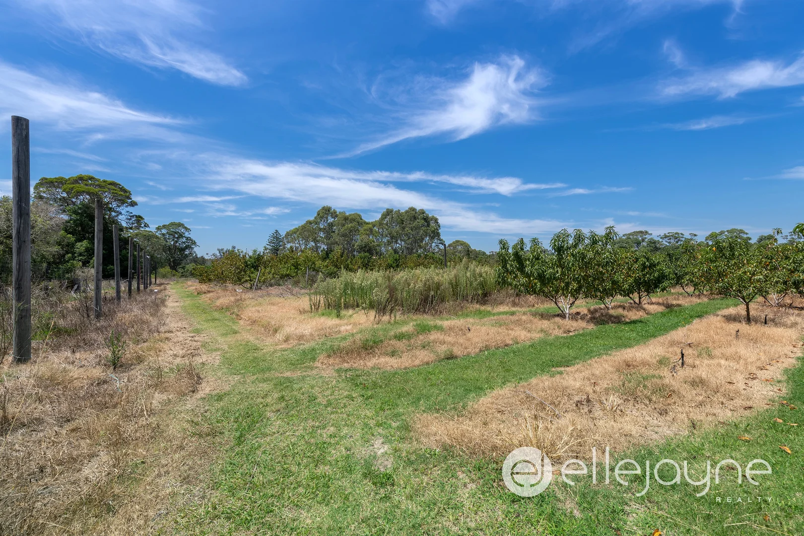 Additional image 14 of 95 Wyee Road, Wyee NSW 2259