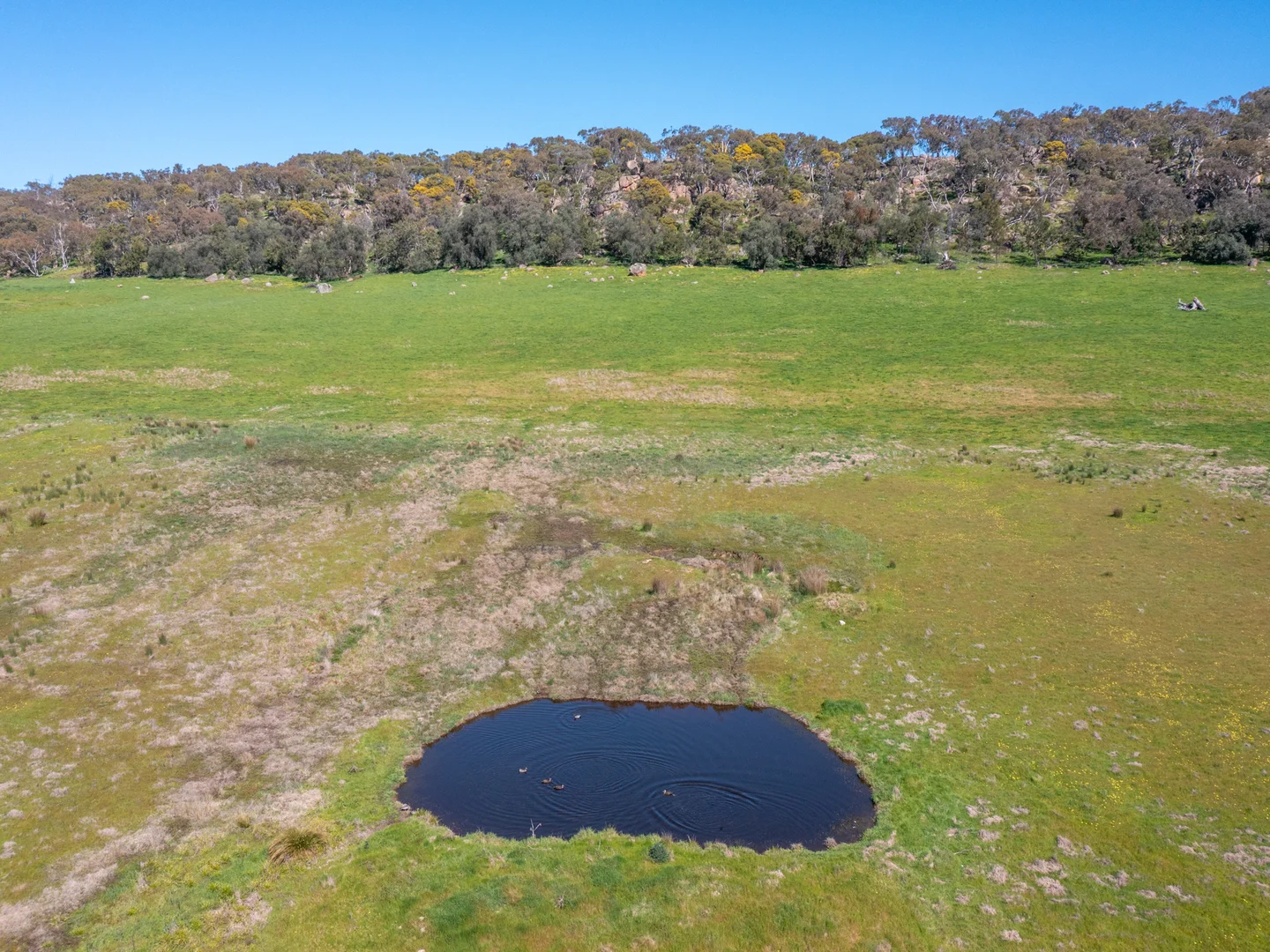 Additional image 7 of Lot 2/94 Woolshed Road, Eldorado VIC 3746