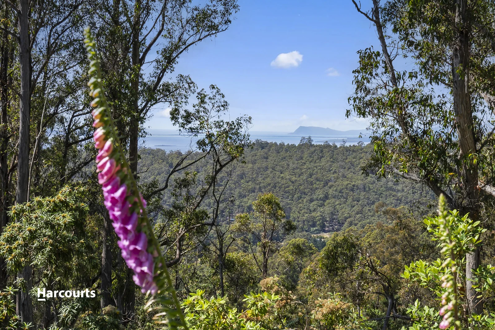 Additional image 22 of 242 Watsons Road, Kettering TAS 7155