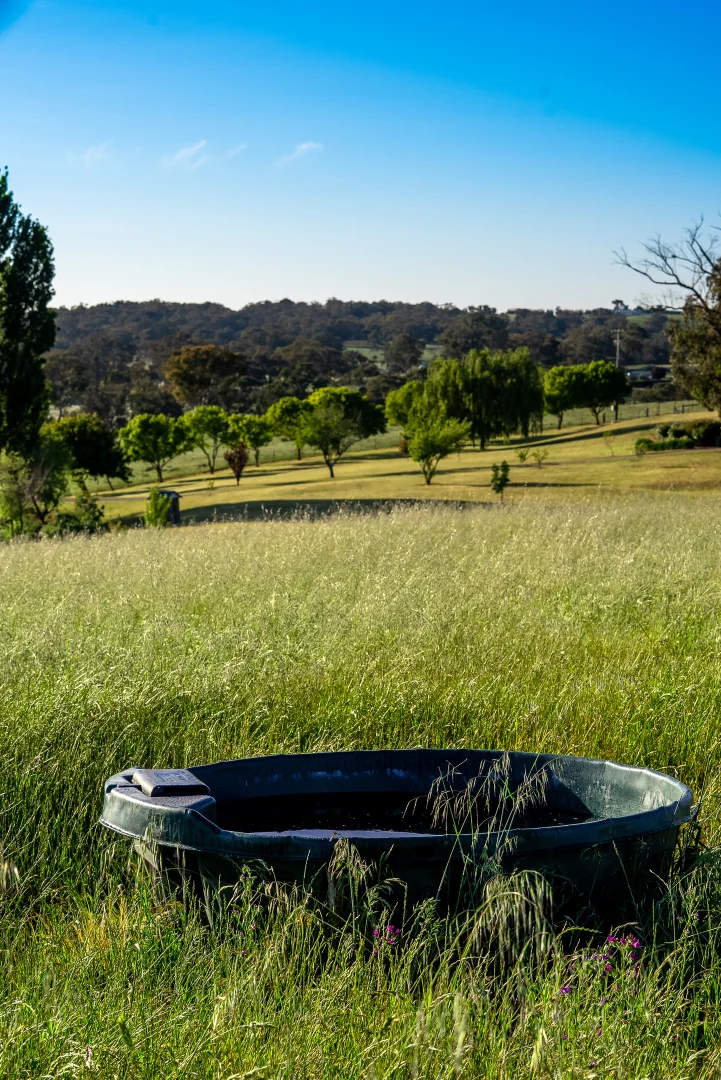 Additional image 25 of 141 Horspool Way, Orange NSW 2800