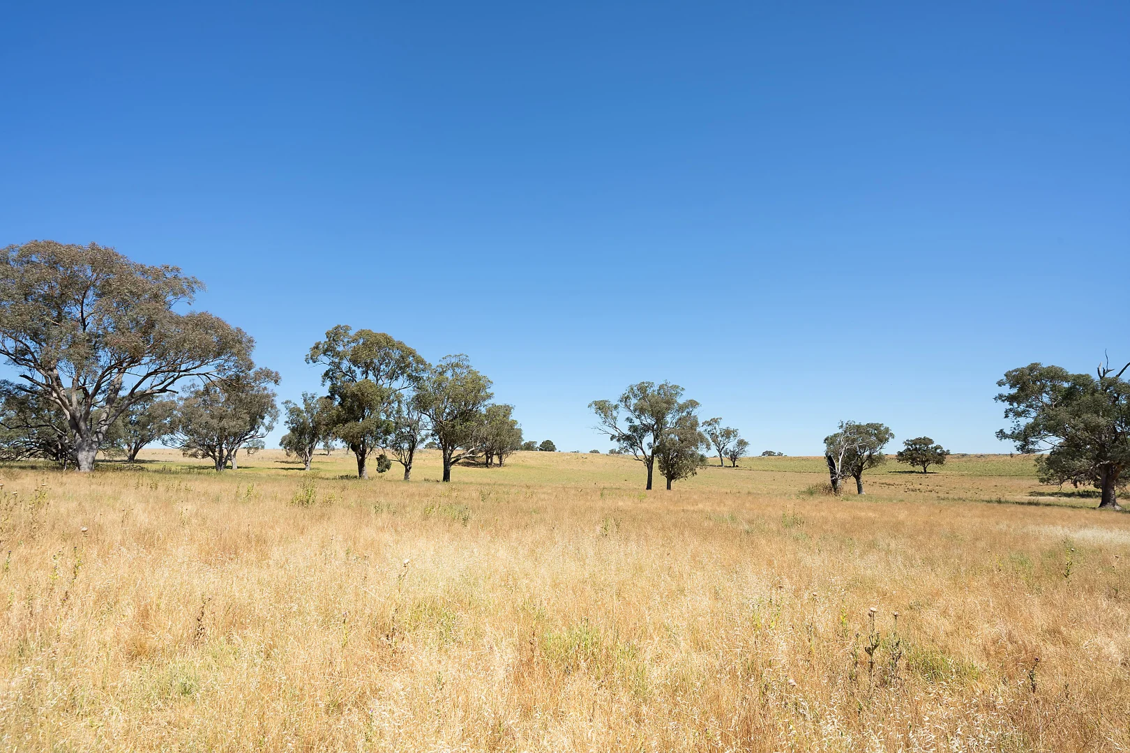 Additional image 22 of 2593 Four Mile Creek Road, Orange NSW 2800