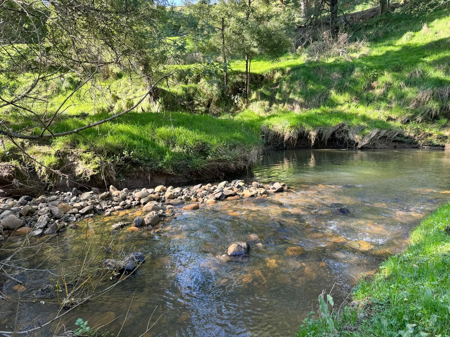 Additional image 18 of 1725 Wild Dog Valley, Strzelecki VIC 3950