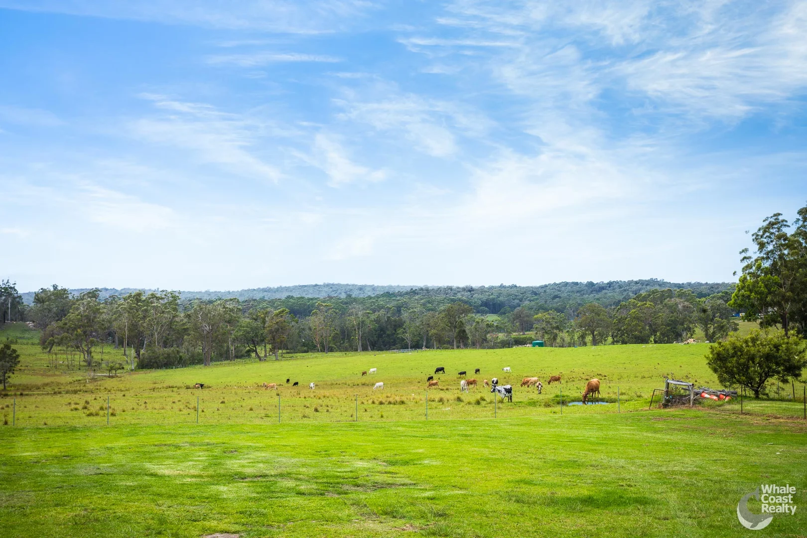 Additional image 26 of 108-110 Princes Highway, Bodalla NSW 2545