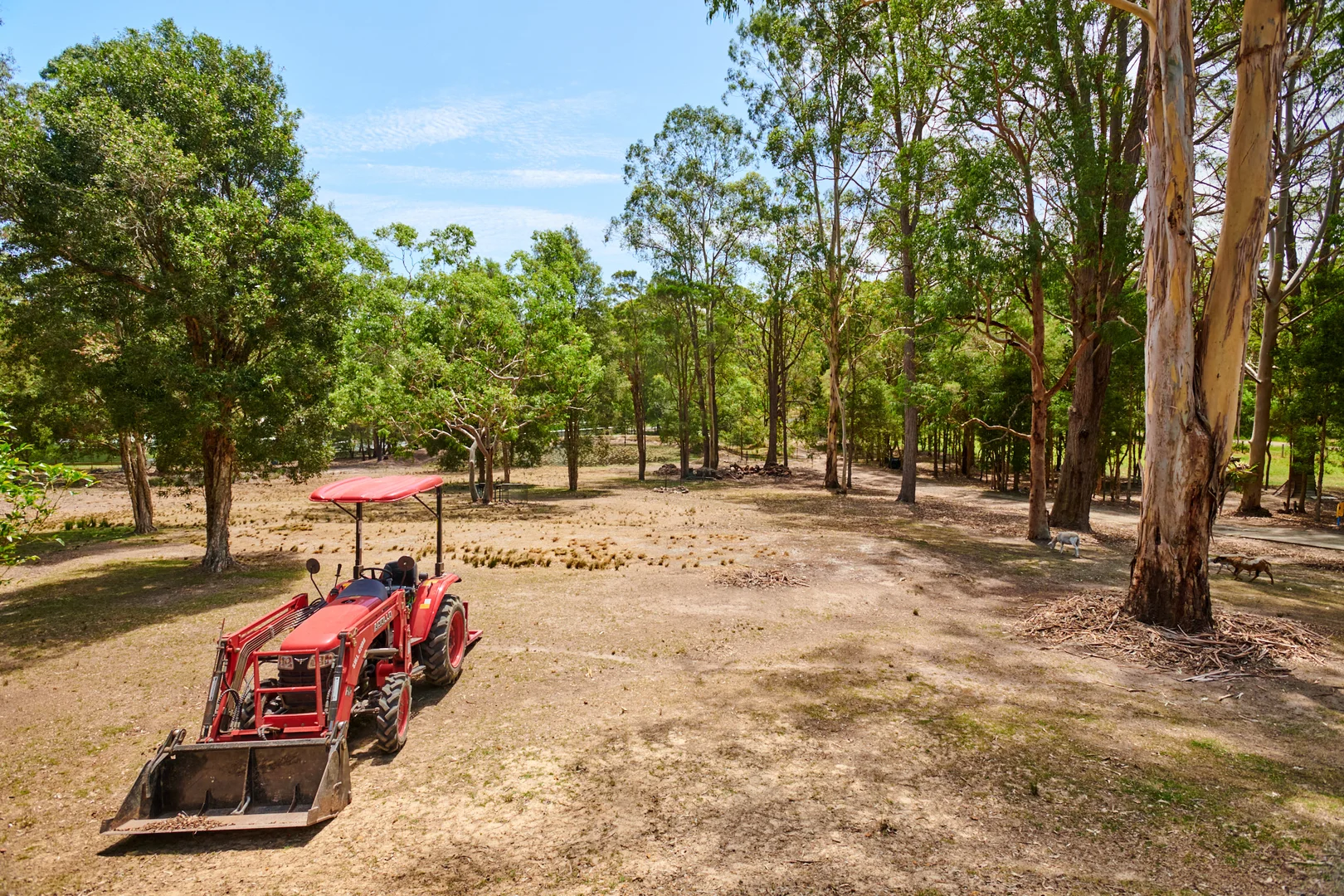 Additional image 4 of 20 Myall Forest Road, Bulahdelah NSW 2423