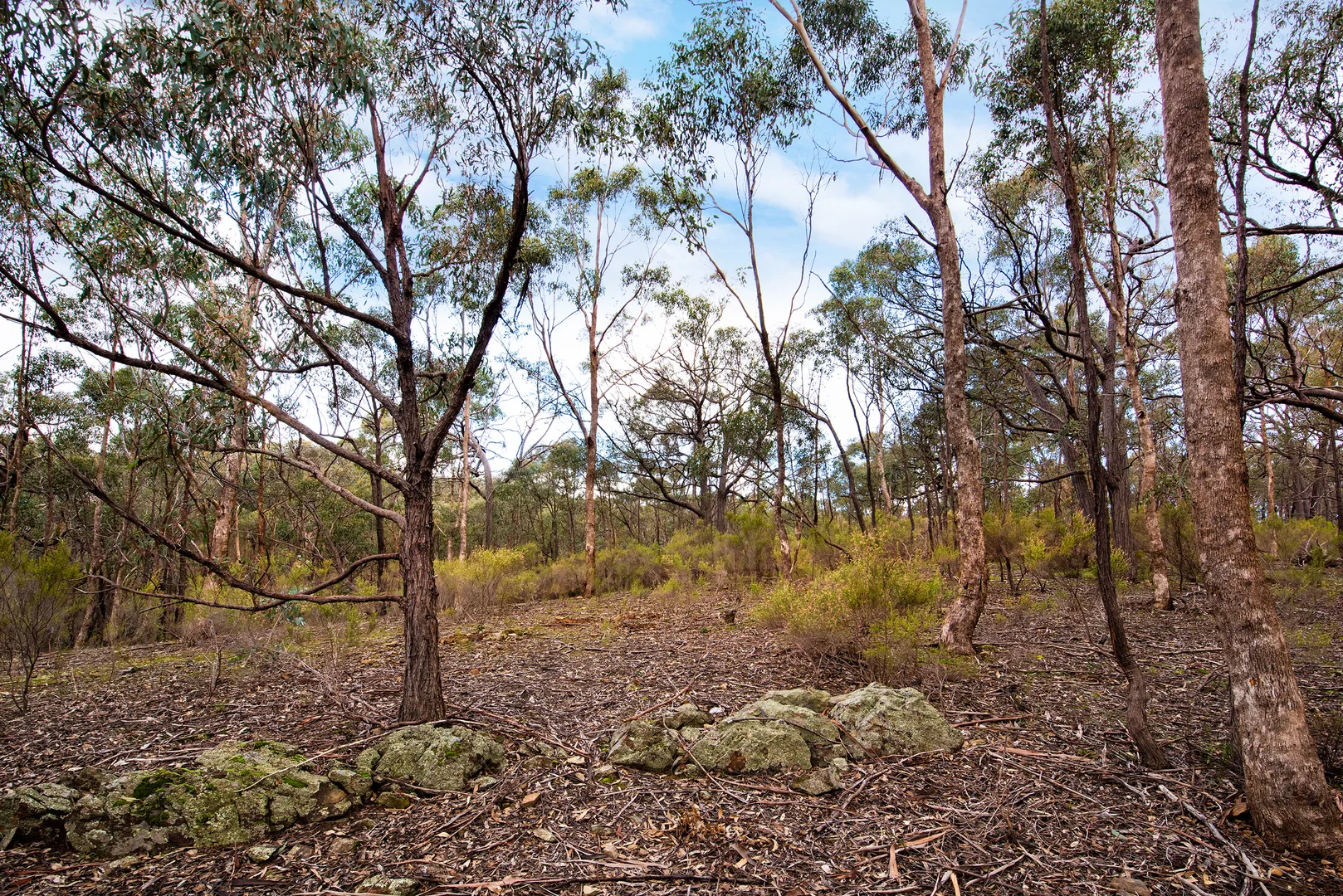 Additional image 3 of Lot 2 Huddle Road, Sedgwick VIC 3551