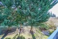 Additional image 7 of 8717 NE 17th St, Vancouver, WA, 98664