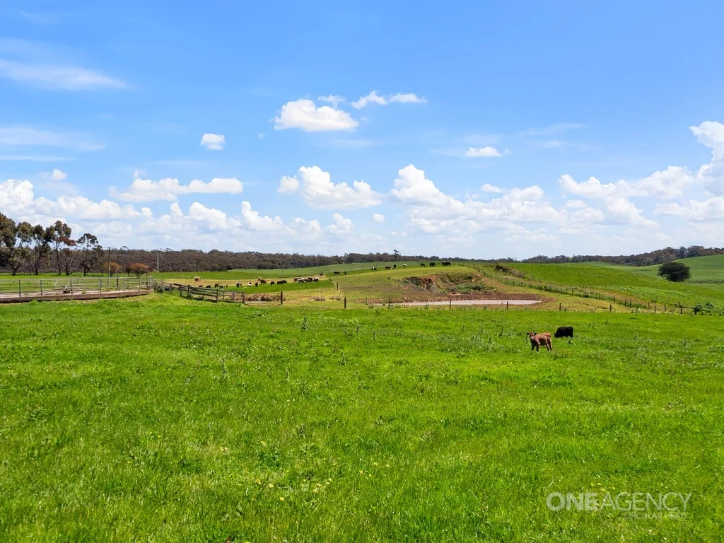 Additional image 27 of 108 Mclachlans Road, Irishtown TAS 7330