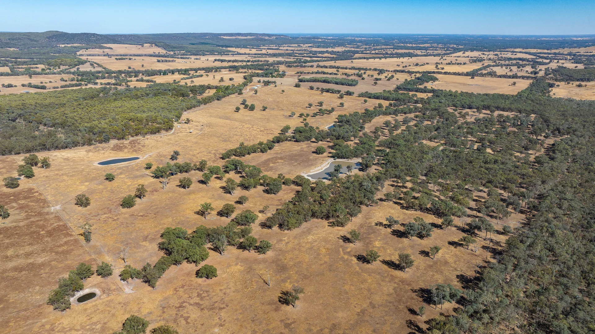 Additional image 10 of 175 Toveys Road, Chiltern VIC 3683