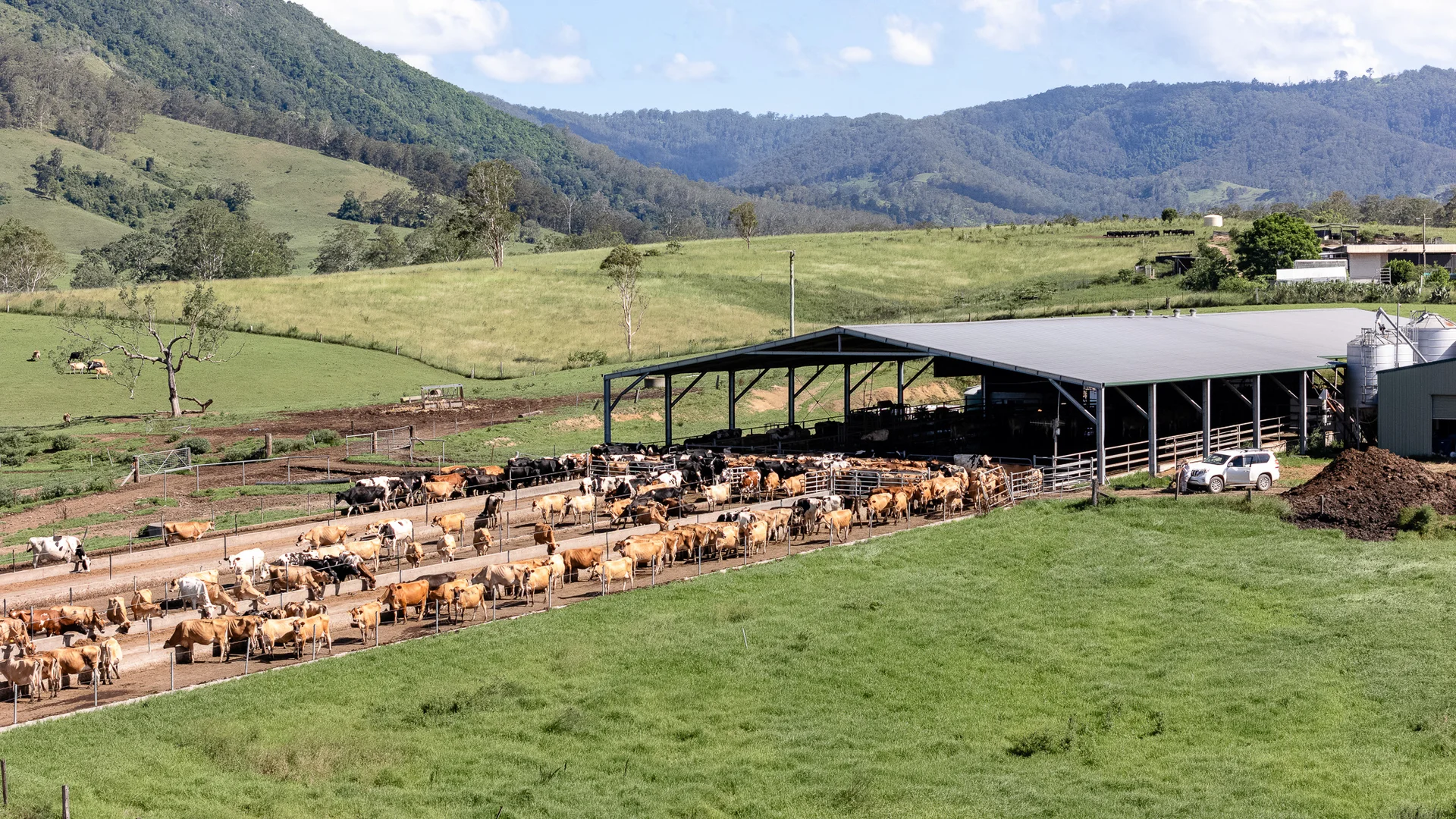 Additional image 24 of 846 Toms Creek Road, Ellenborough NSW 2446