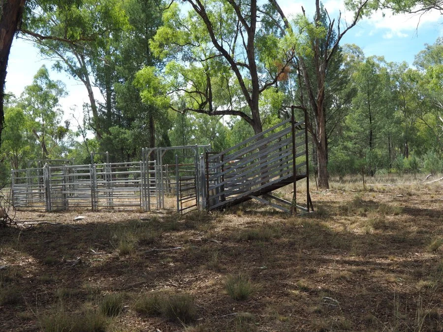 Additional image 17 of 288 Fairford Road, Warialda NSW 2402