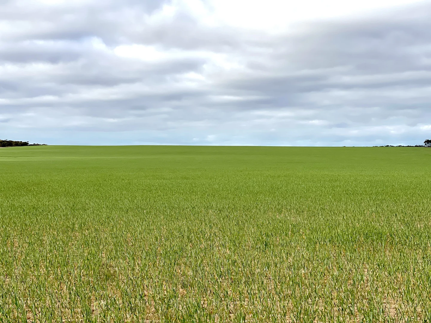 Additional image 9 of Section 22 Marchant Road, Mudamuckla SA 5680