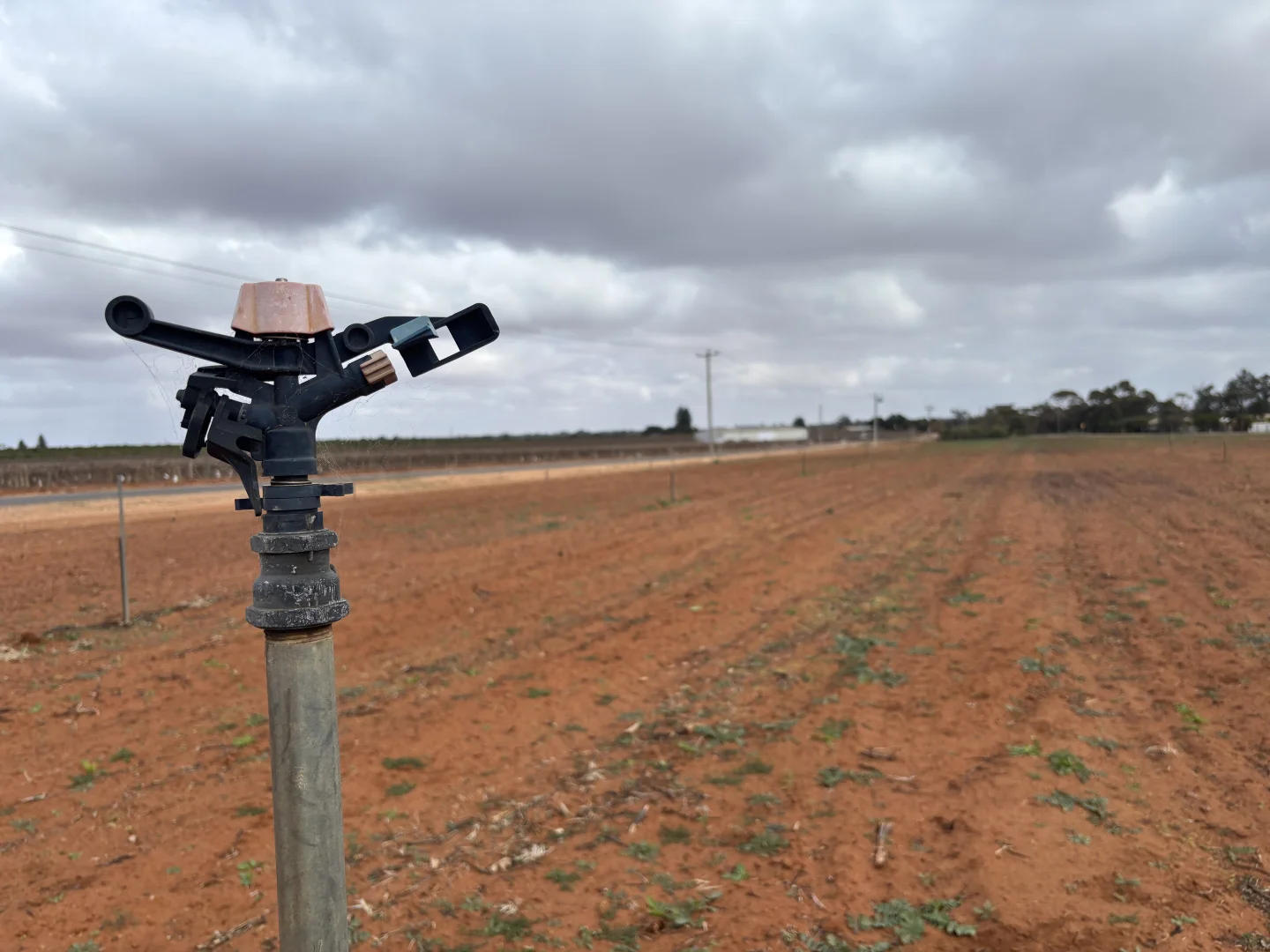 Additional image 3 of Tallawalla Road, Coomealla NSW 2717