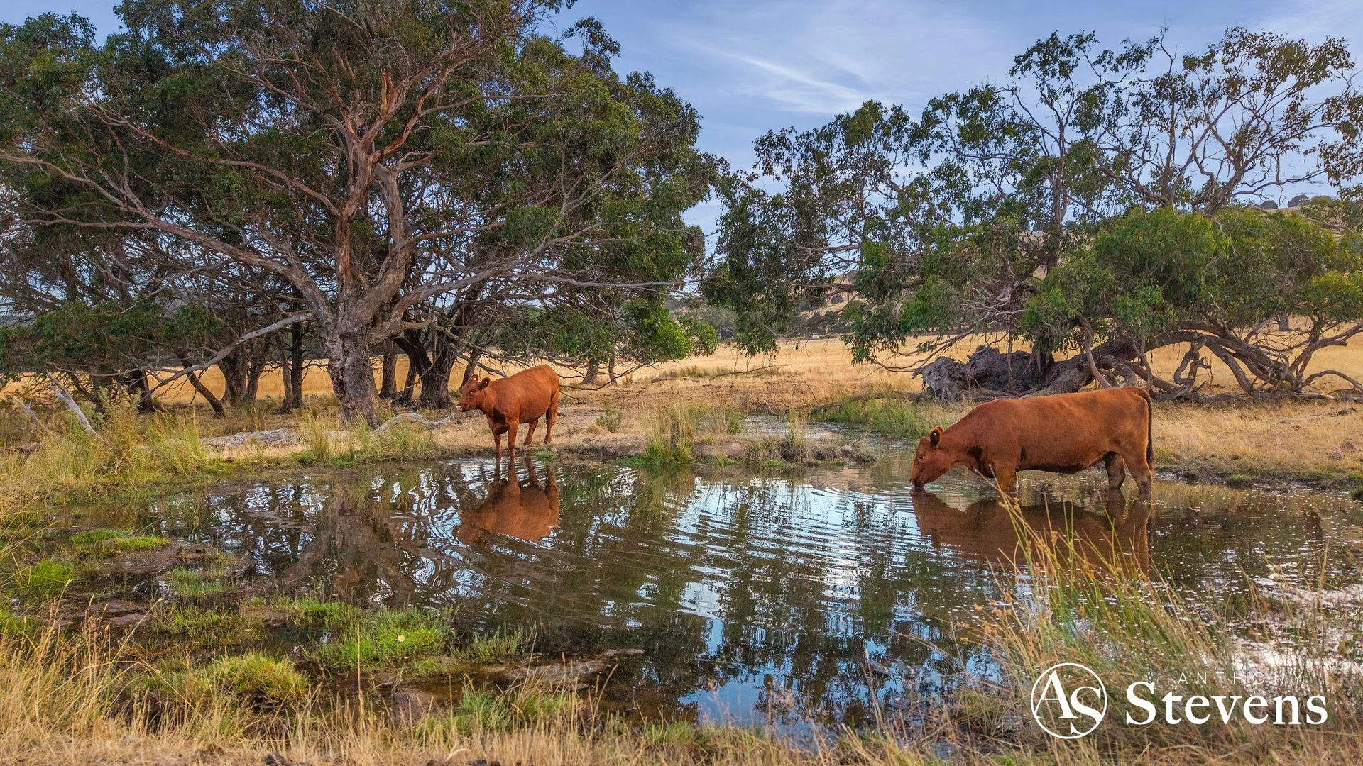 Additional image 9 of C/A-61 Pattinsons Lane, Goldie VIC 3435