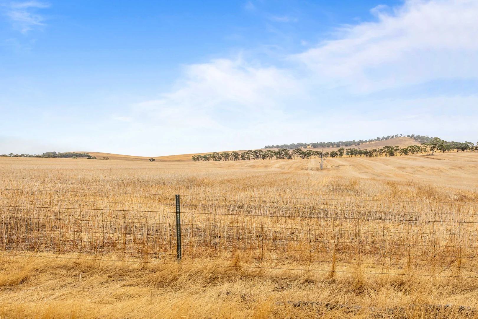 Additional image 16 of 339 Burrumbeep Road, Maroona VIC 3377