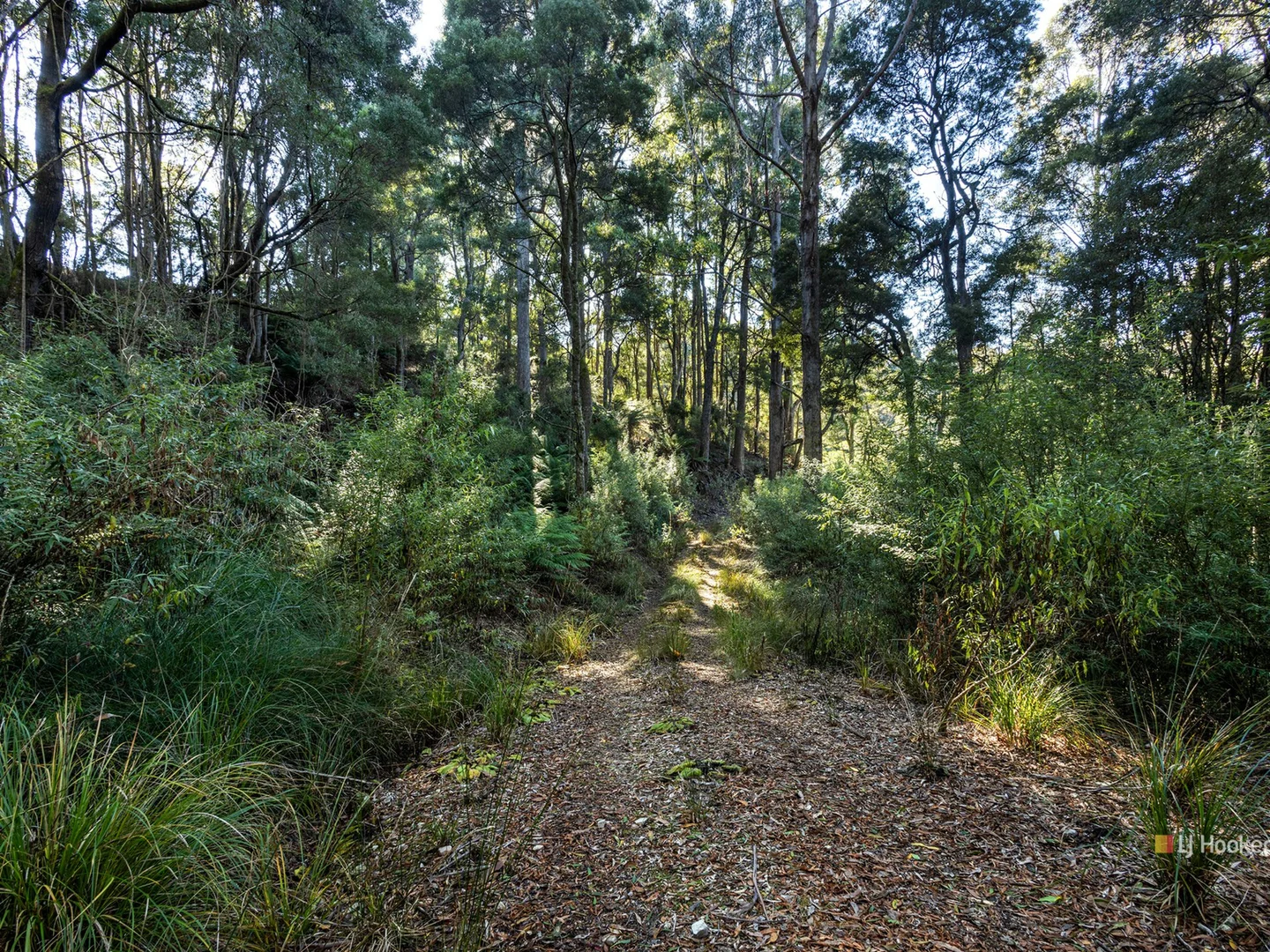 Additional image 2 of 0 Pages Road, Moorleah TAS 7325