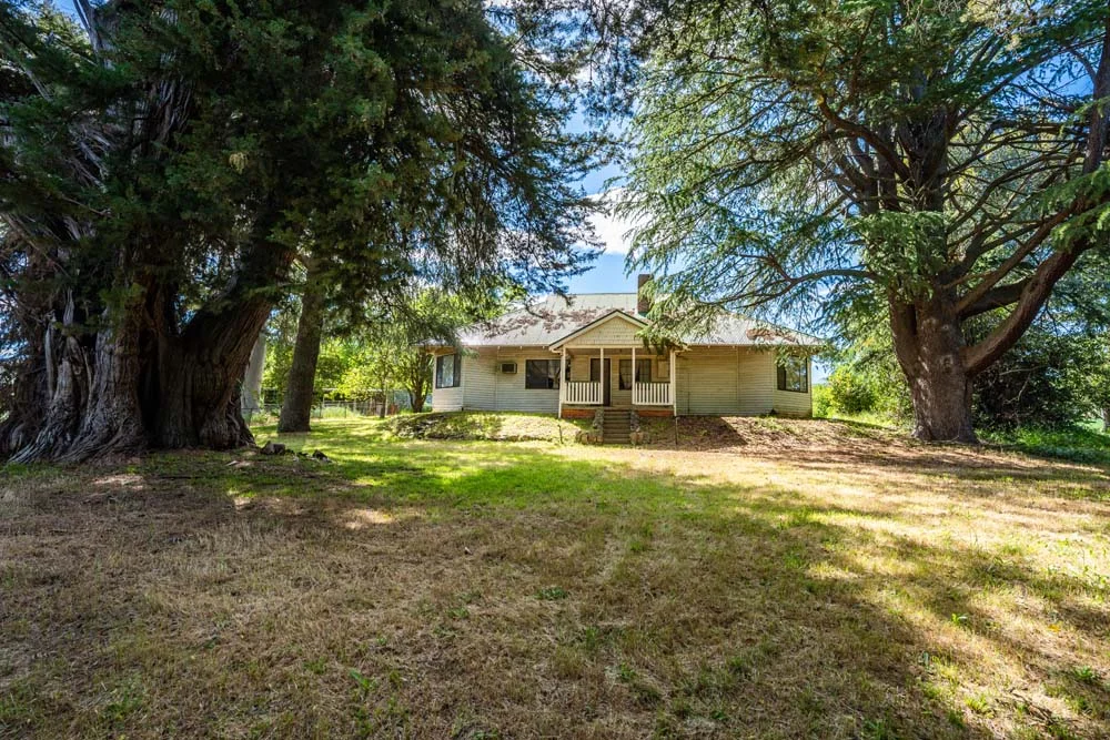 Additional image 15 of 1279 Edi-Cheshunt Road, Whitfield VIC 3733