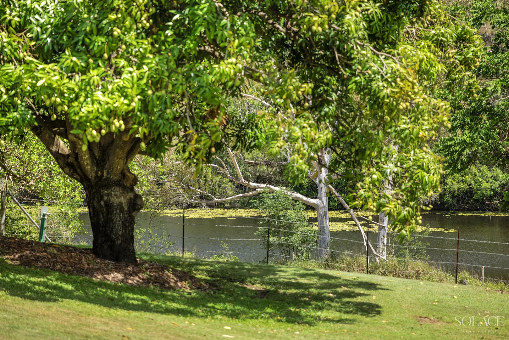 Additional image 4 of 235 Pikes Crossing Road, Benaraby QLD 4680