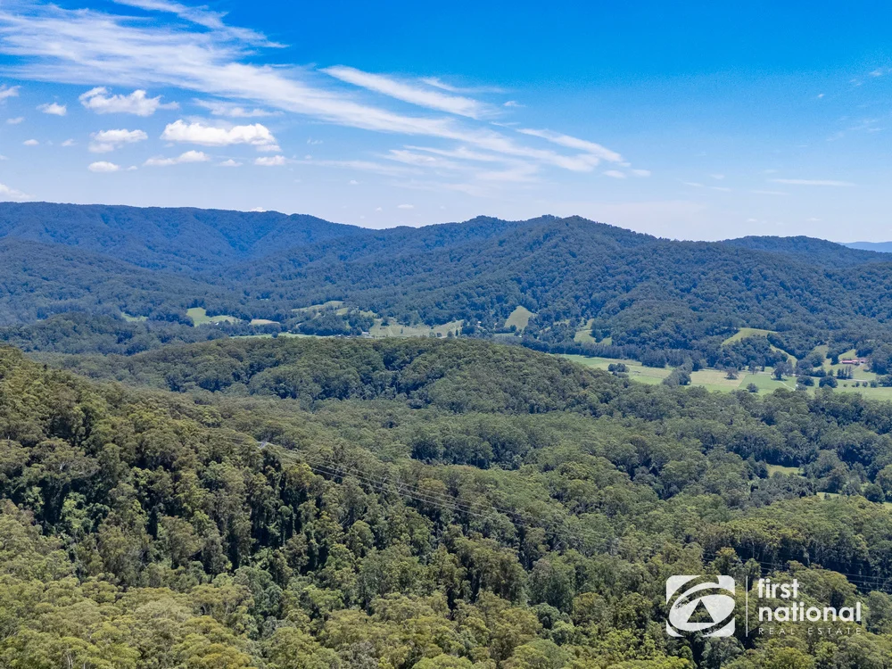 Additional image 23 of Lot 65 North Island Loop Road, Upper Orara NSW 2450