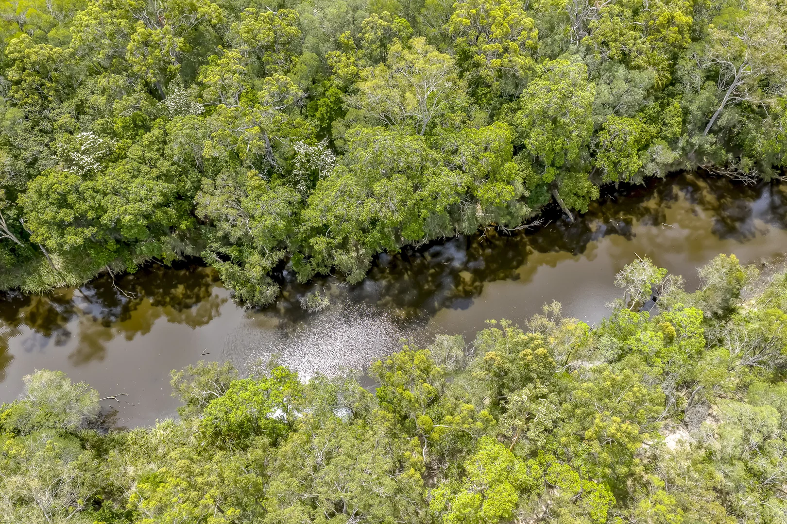 Additional image 3 of 210 Ten Mile Road, Sharon QLD 4670