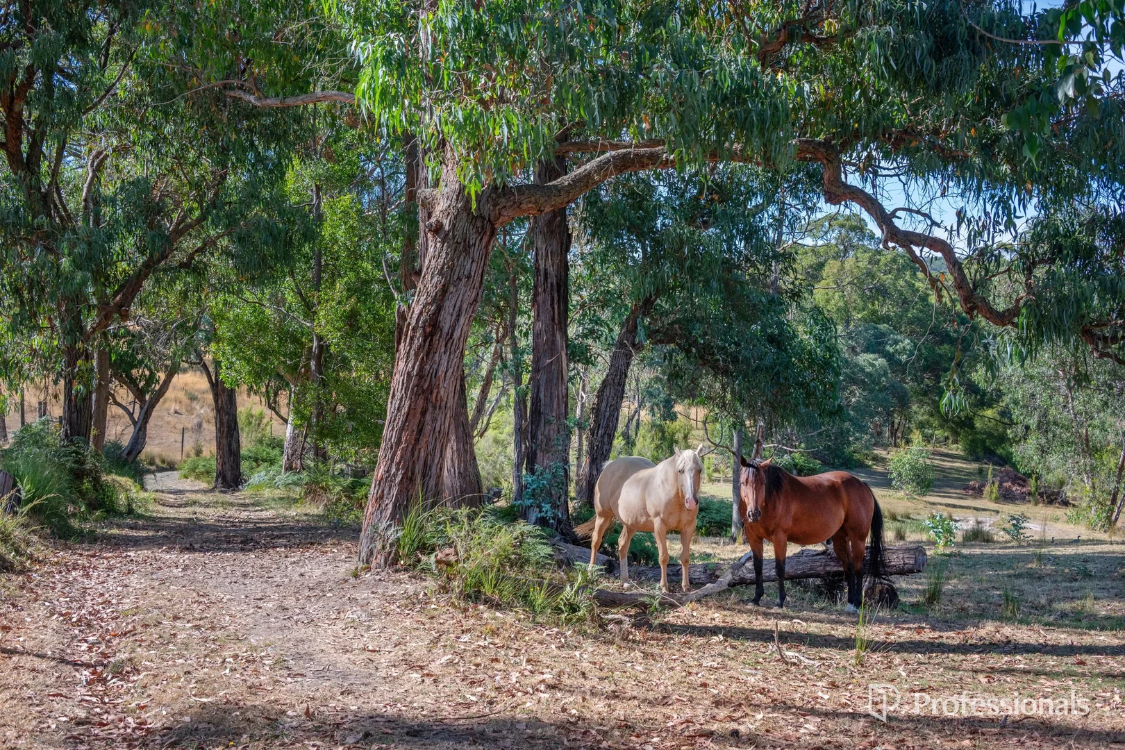 Additional image 22 of 150 Blackleather Creek Road, Launching Place VIC 3139