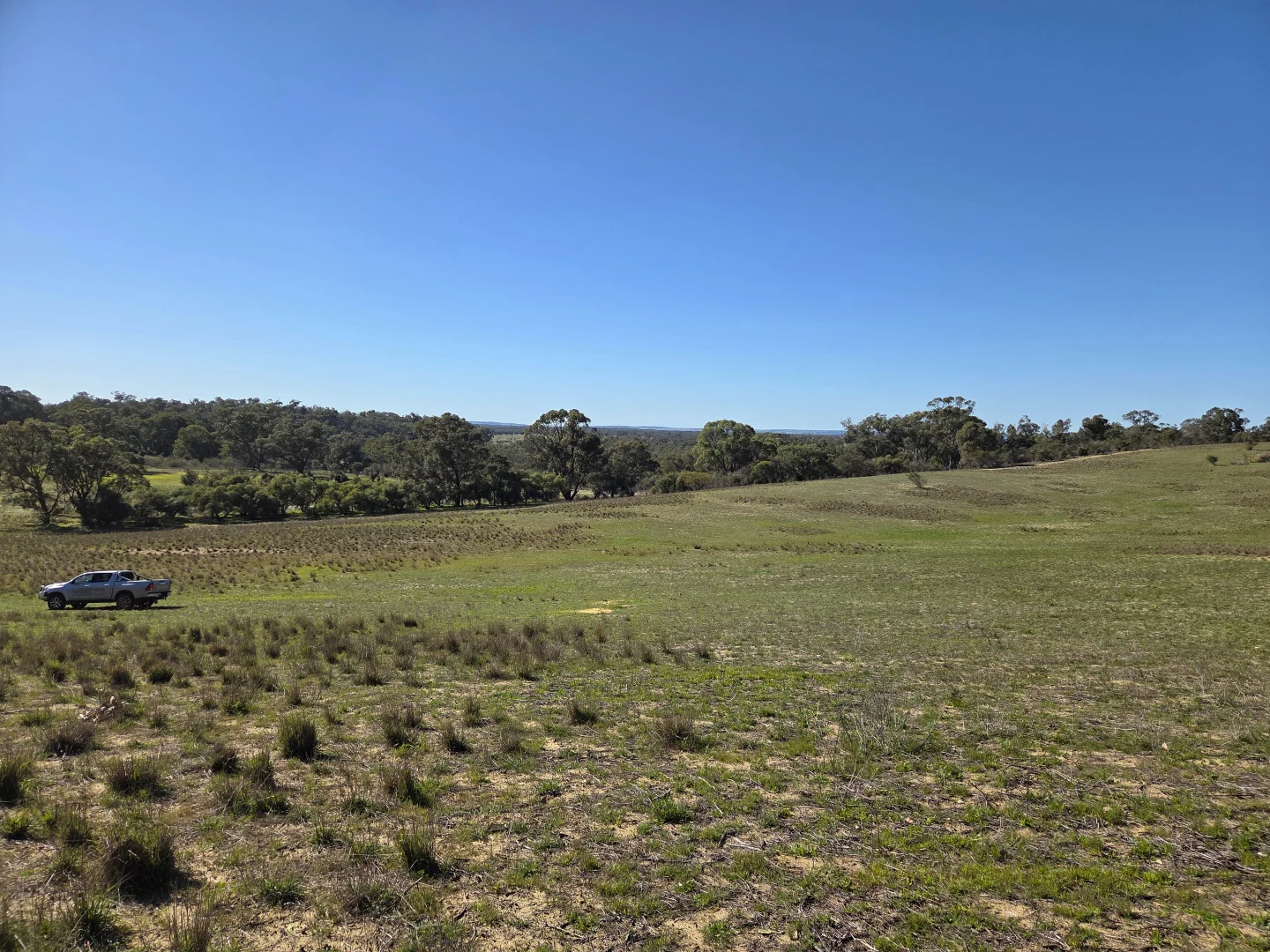 Additional image 10 of 197 Millbank Road, Cowalla WA 6503