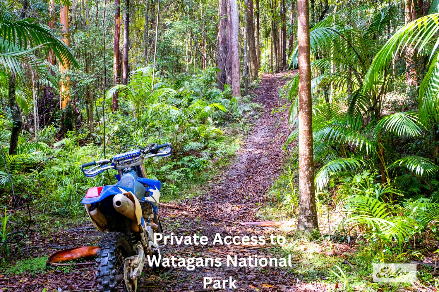 Additional image 17 of 1798 Dooralong Road, Lemon Tree NSW 2259