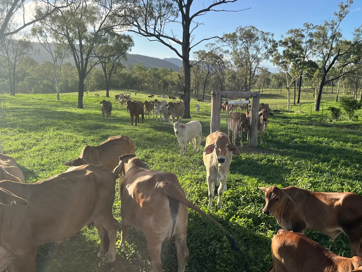 Additional image 16 of 23608 Peak Downs Highway, Eton QLD 4741